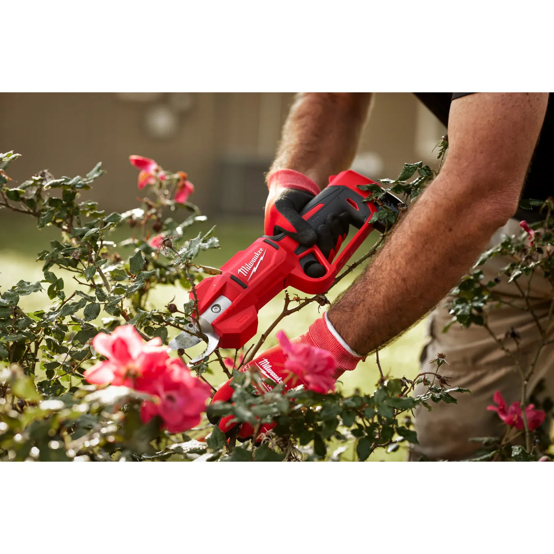 M12™ Brushless Pruning Shears