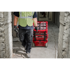 Milwaukee Tool PACKOUT Tilt Bin Organizer