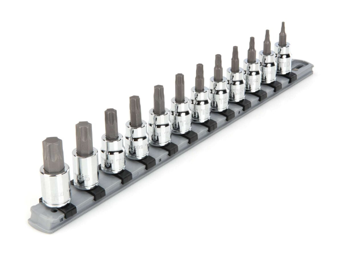 TEKTON 3/8 Inch Drive Torx Bit Socket Set with Rail, 12-Piece (T10-T60) | SHB91103 Main image