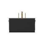 PulseQ NEMA Splitter 50A
